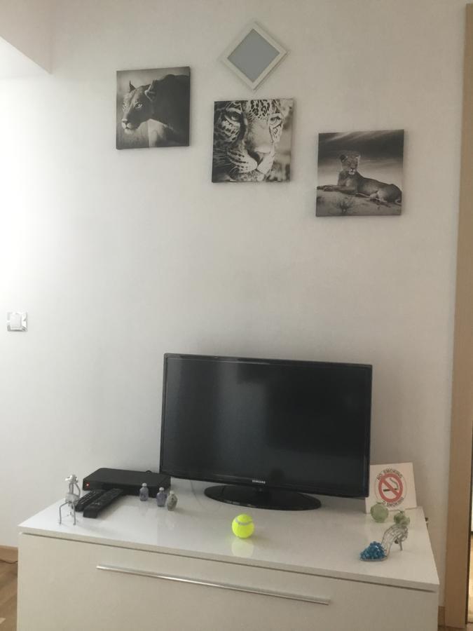 White Dream Suites Iasi Ngoại thất bức ảnh
